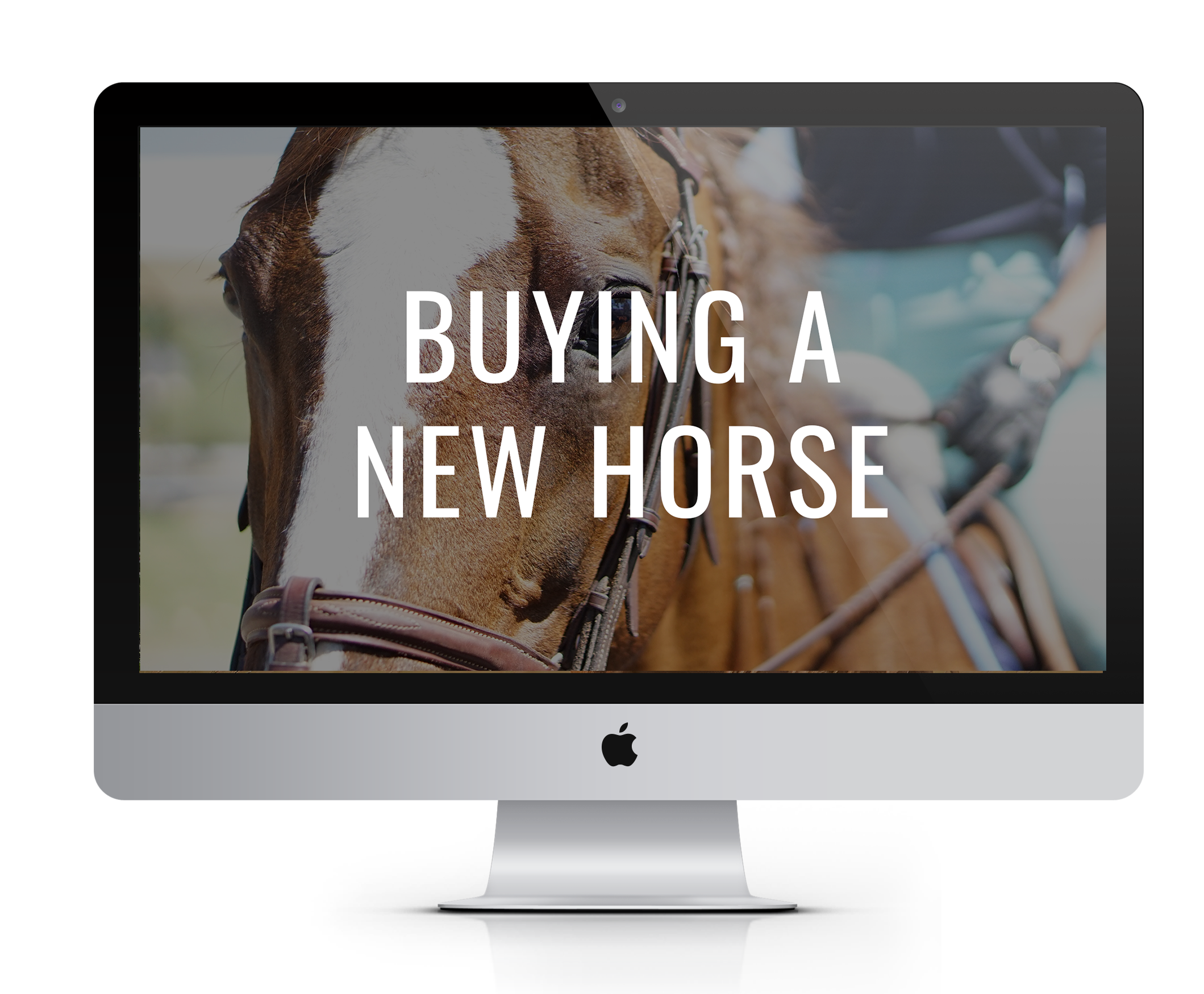 buying-a-new-horse-mockup