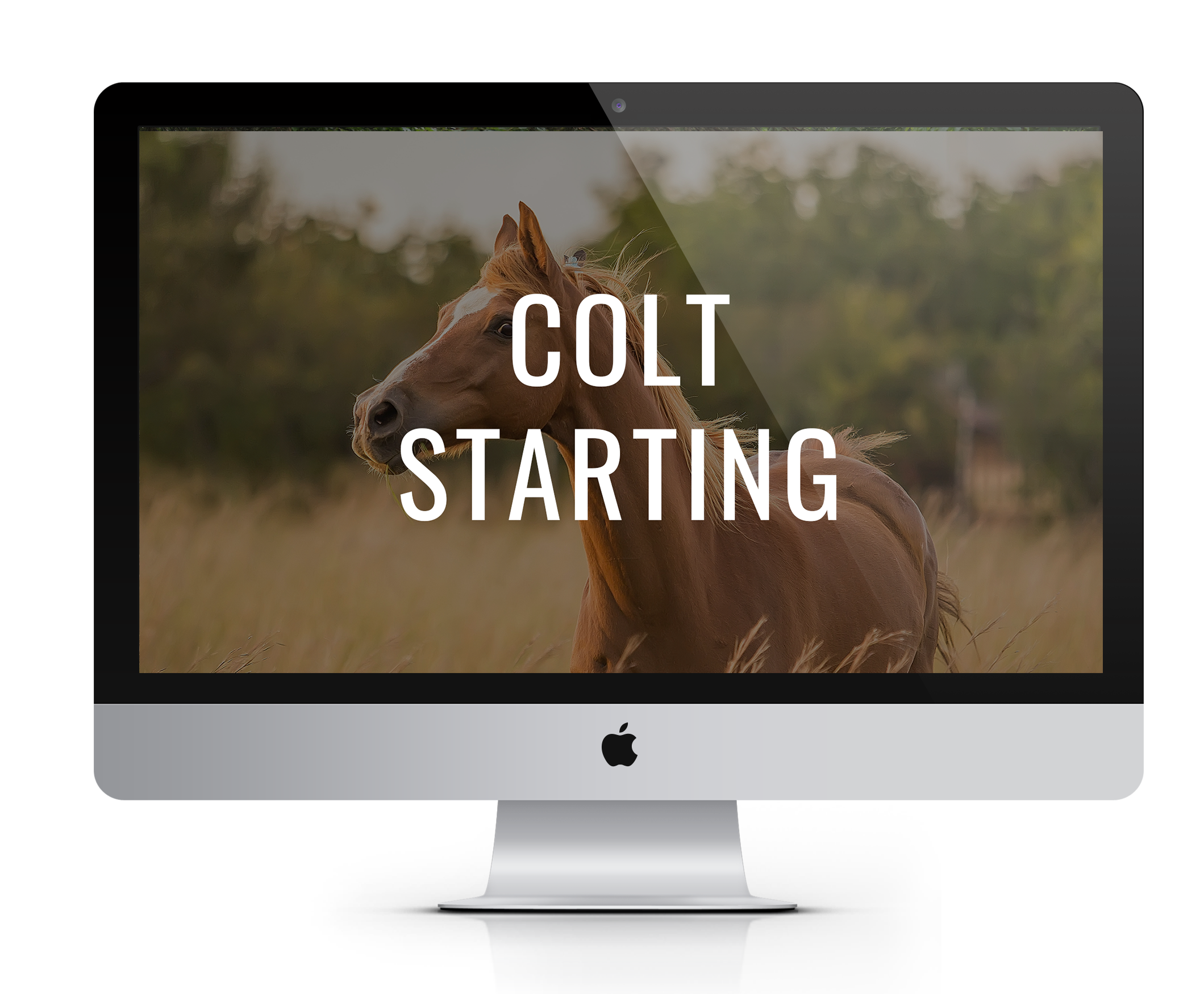 colt-starting-mockup